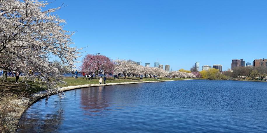 Photo: Charles River Esplanade by Lex Zhao via Unsplash